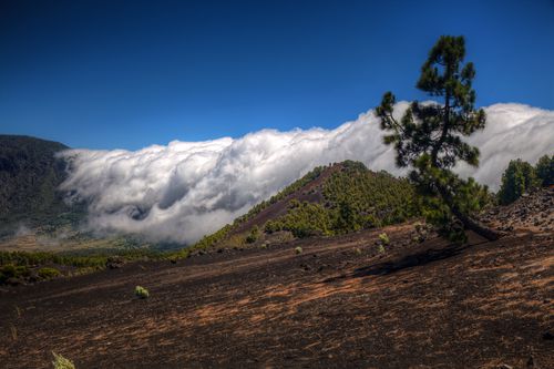 Cloud cascade on La Palma